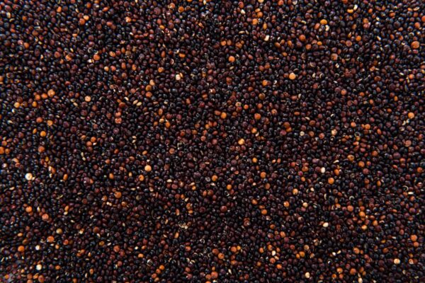 Quinoa Negra